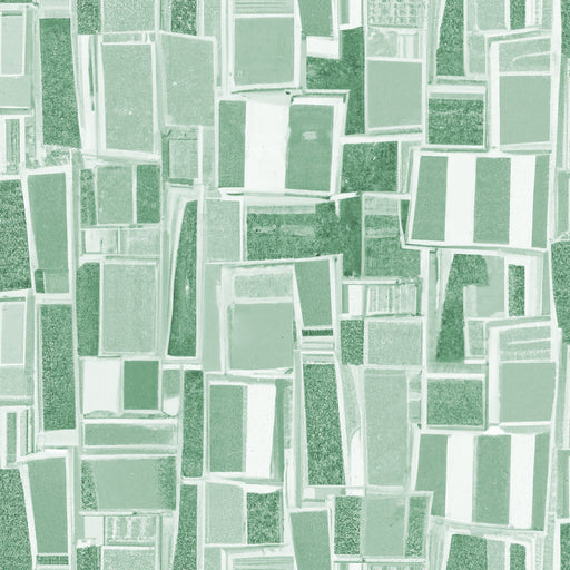 Reveal Tapet Disorder - Dollar Green