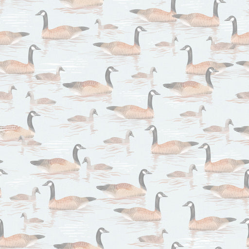 Reveal Tapet Canada Geese - Light Blue
