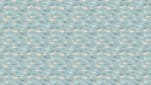 Reveal Tapet Whale Watching - Sea