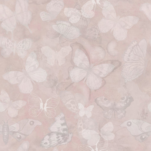 Reveal Tapet Mariposa - Rose