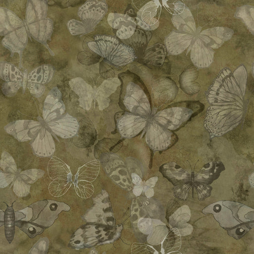 Reveal Tapet Mariposa - Earth
