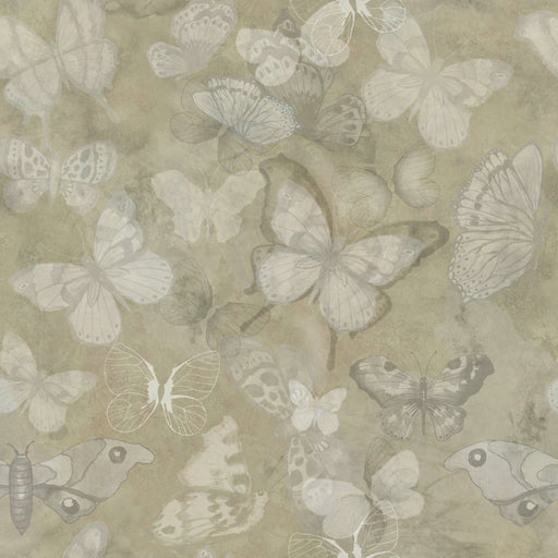 Reveal Tapet Mariposa - Khaki