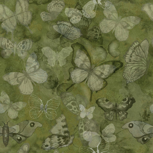 Reveal Tapet Mariposa - Kiwi