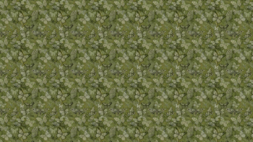 Reveal Tapet Mariposa - Kiwi