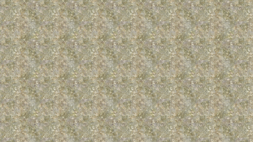 Reveal Tapet Endless summer - Early dawn