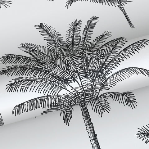 ESTAhome tapet palmer svart och vitt