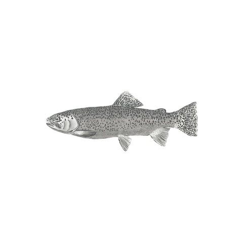 ESTAhome fototapet fisk - vitt och svart