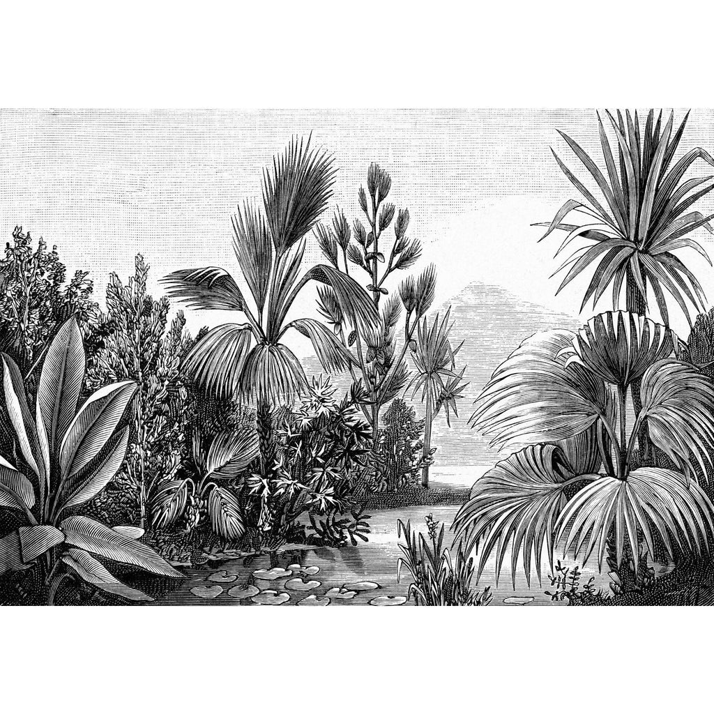 ESTAhome fototapet tropiskt landskap- svart & vitt
