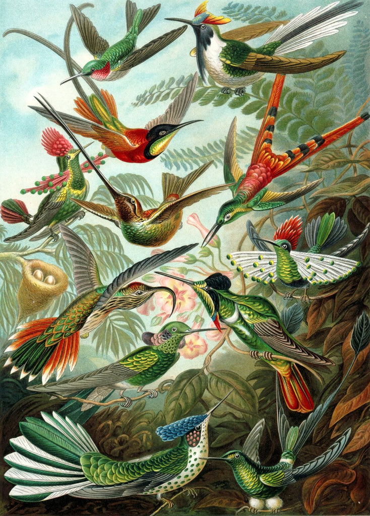 ESTAhome fototapet fåglar tropiskt - djungelgrönt