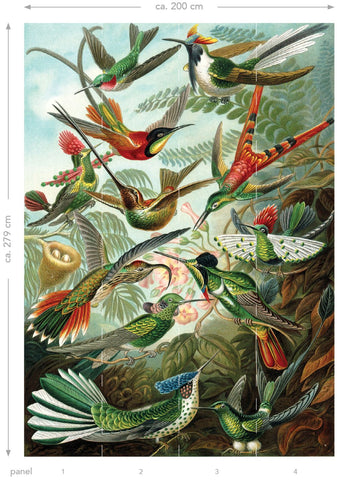 ESTAhome fototapet fåglar tropiskt - djungelgrönt