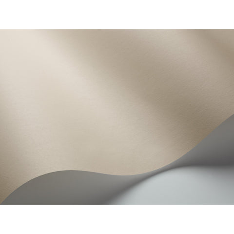 Pigment Beige 7916