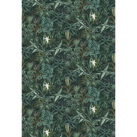 Special Edition Wild Animals Madagascar Leaves - 1191 Digital
