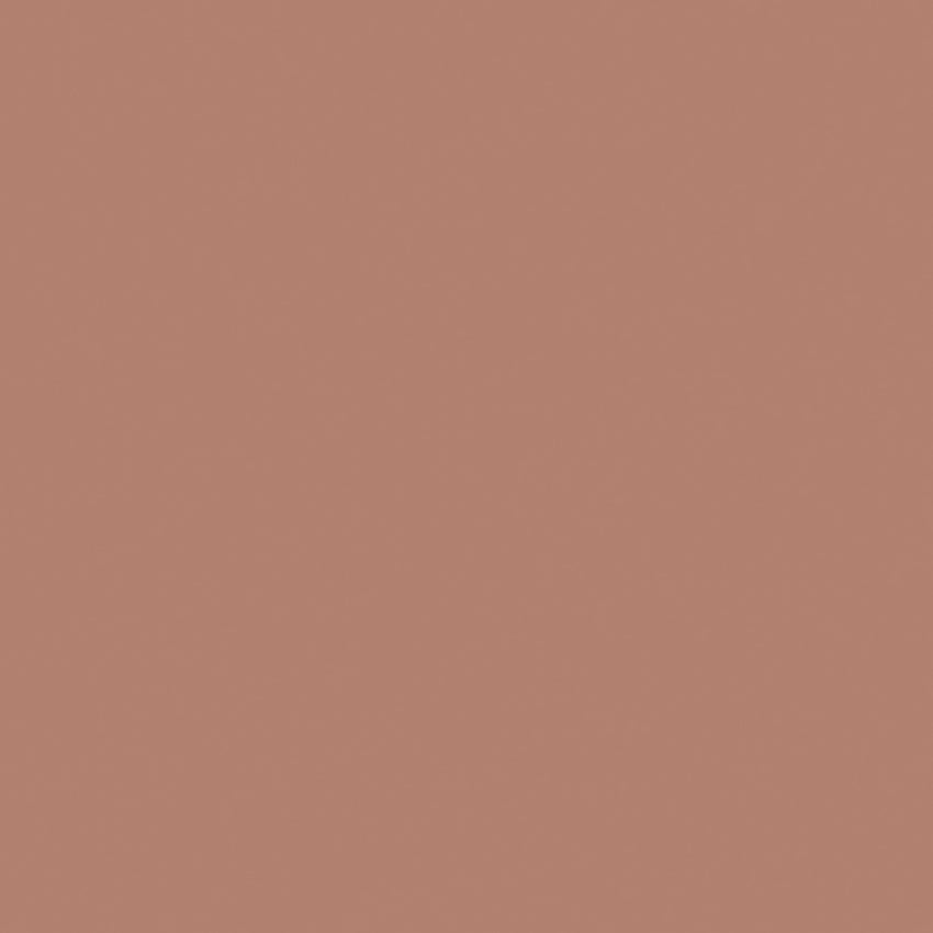 En bild på Pigment Red Earth 7999 på Färggrossen.nu