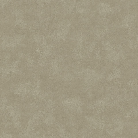Chalk  Shades Olivine - 5072