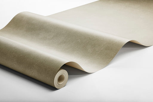 Chalk  Shades Olivine - 5072